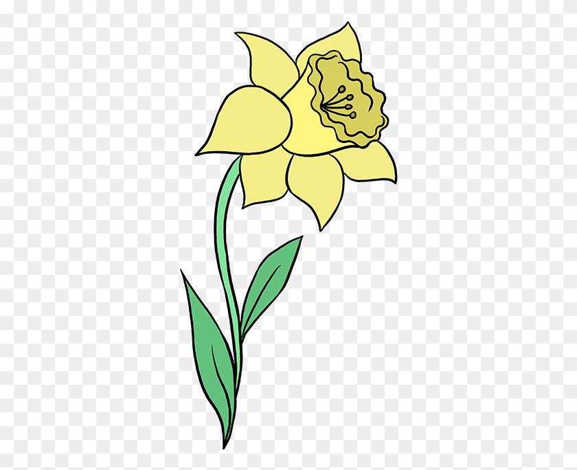 318x624 X 678 5 Drawing Daffodil, Plant, Flower, Blossom HD PNG Download