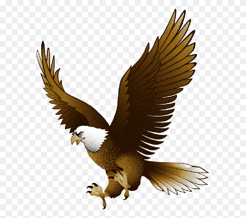590x686 X 686 3 0 Eagle Clipart, Bird, Animal, Bald Eagle HD PNG Download