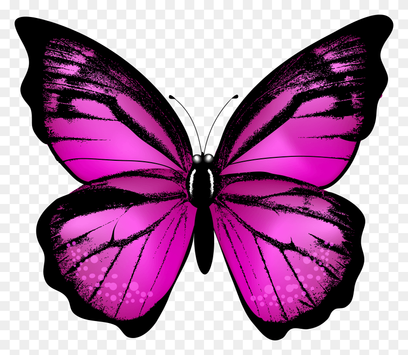 7876x6780 X 6914 HD PNG Download
