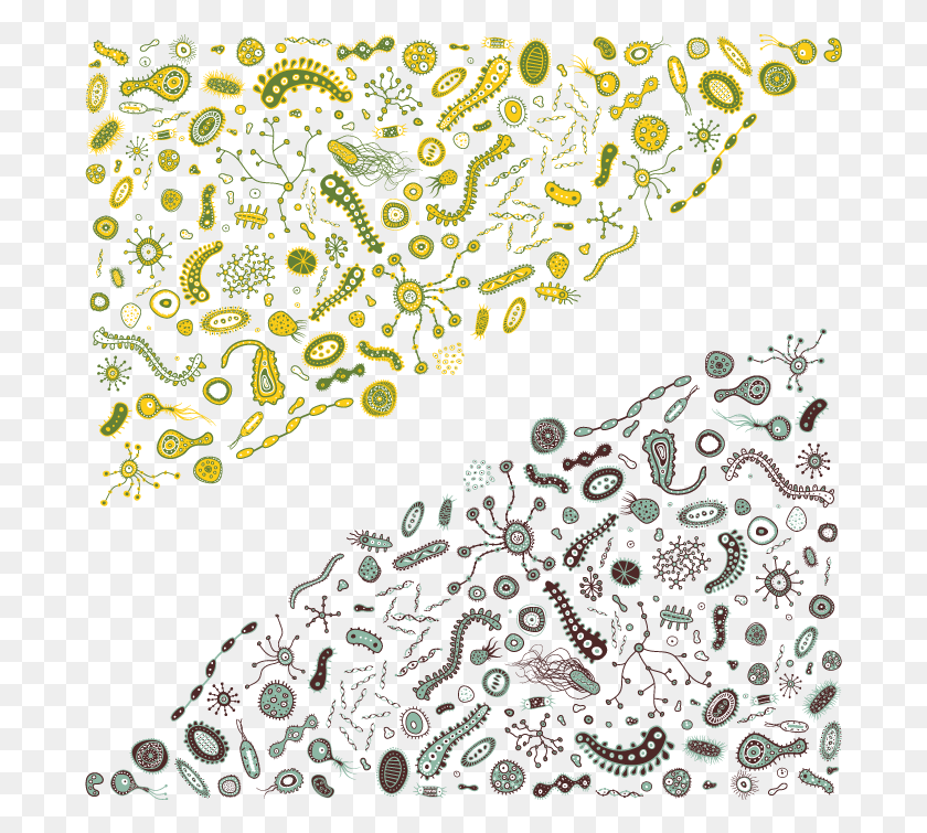 687x695 X 694 4 Germ Vector, Pattern, Rug HD PNG Download