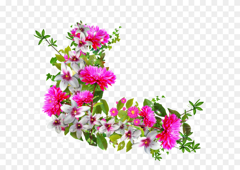 631x537 X 700 1 Букет, Растение, Цветок, Цветение Hd Png Скачать
