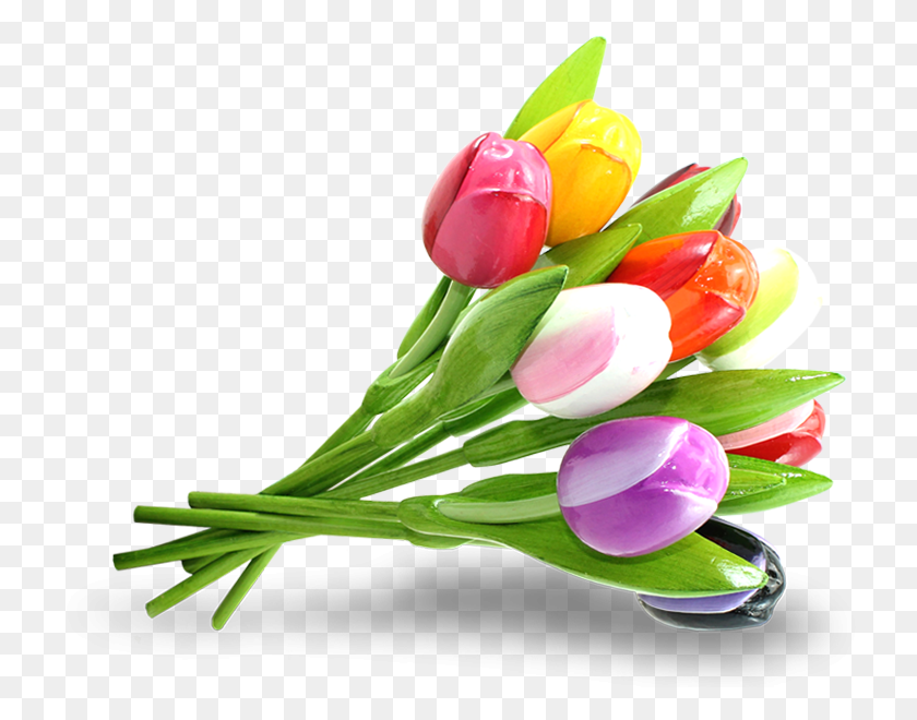 X 700 13 Boeket Tulpen, Plant, Flower, Blossom HD PNG Download