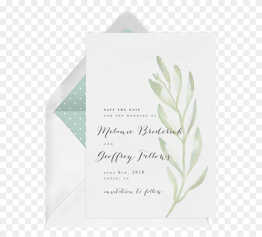 550x701 X 701 6 0 Save The Date Olive Branch, Envelope, Mail, Paper HD PNG Download