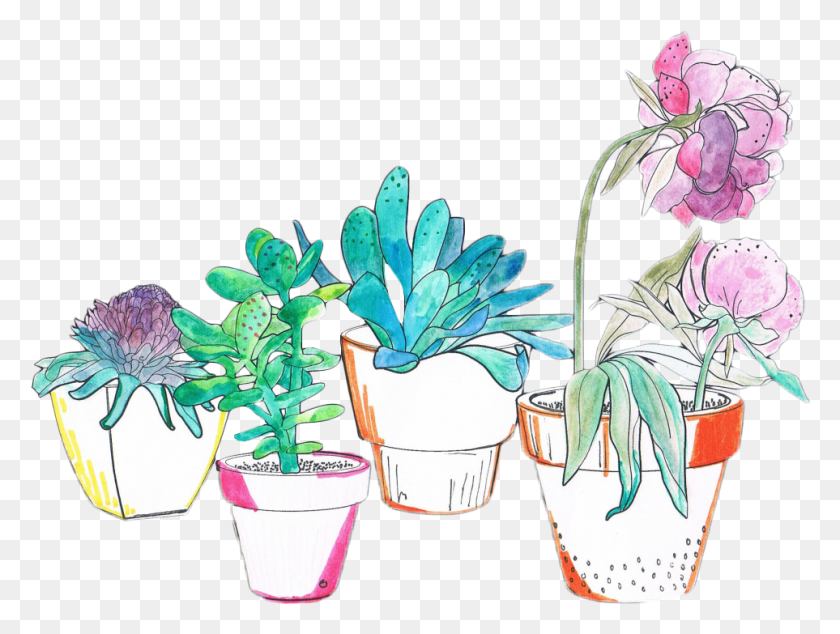 963x709 X 709 10 0 Dibujos De Flores Con Color, Растение, Цветок, Цветение Hd Png Скачать