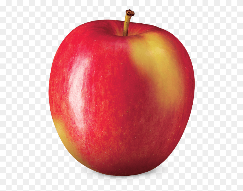 508x602 X 720 1 Apples, Apple, Fruit, Plant HD PNG Download