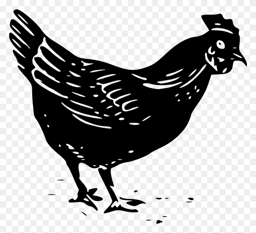 800x722 X 722 12 Black And White Chicken Clip Art, Gray, World Of Warcraft HD PNG Download
