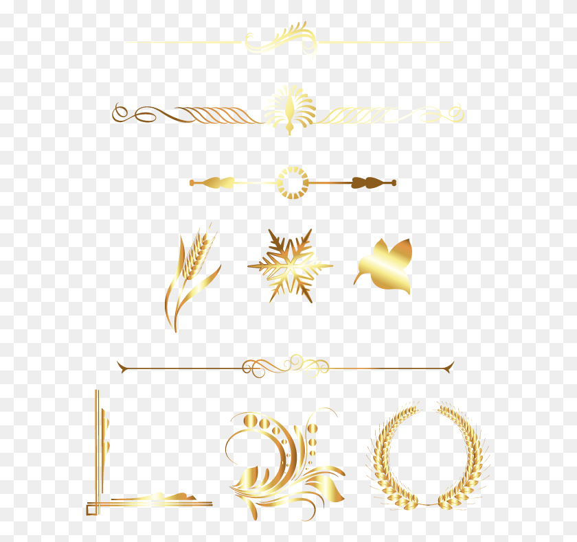 590x730 X 730 2 0 0 Golden Vector Line, Gold, Text HD PNG Download