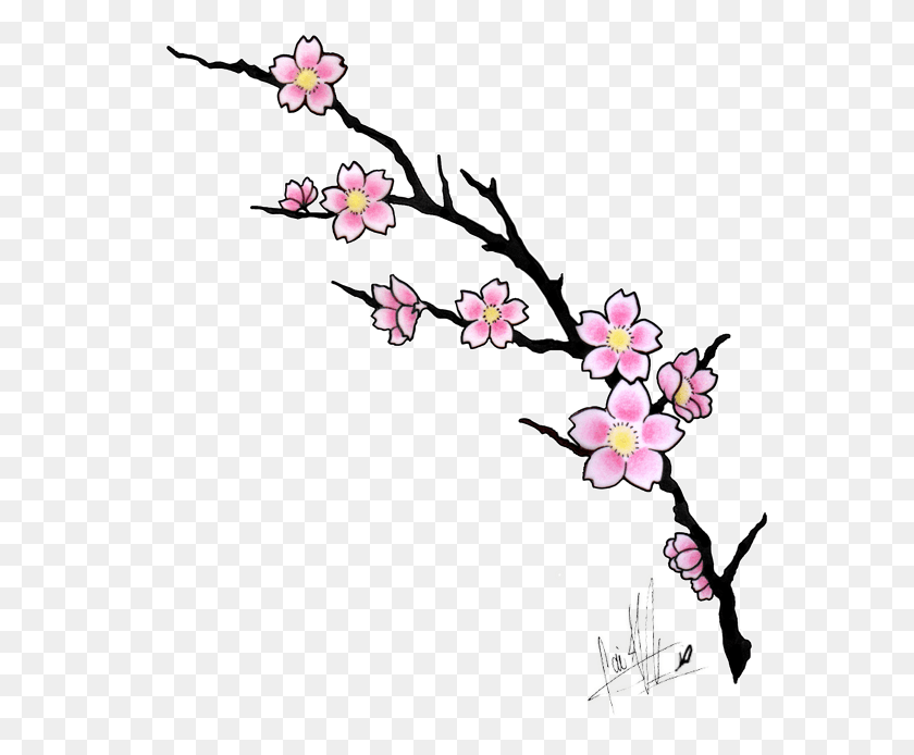 574x634 X 735 8 Cherry Blossom Tattoo Design, Цветочный Дизайн, Узор, Графика Hd Png Скачать