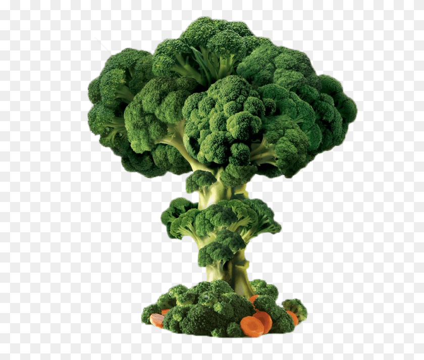 580x653 X 740 15 Broccoli Explosion, Plant, Vegetable, Food HD PNG Download