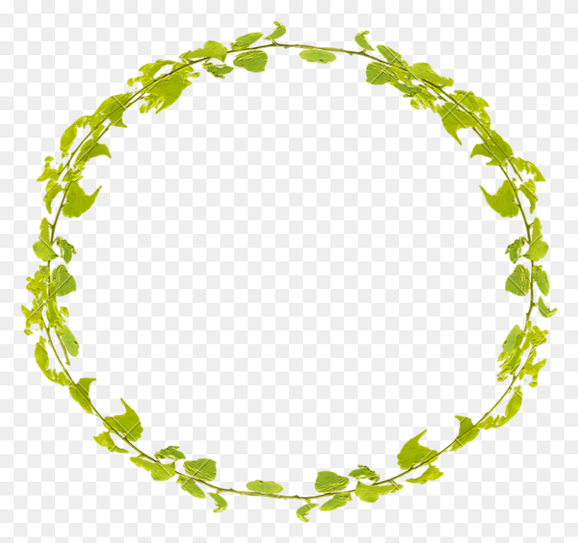 800x748 X 748 6 0 Circle Leaves Transparent, Pattern, Green, Oval HD PNG Download