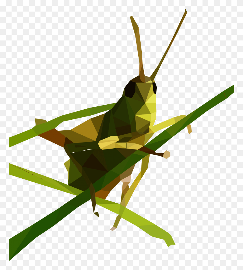 2140x2400 X 750 3 Low Poly Grasshopper, Invertebrate, Animal, Insect HD PNG Download