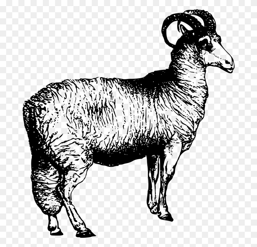 694x750 X 750 7 Sheep Drawing Animal Farm, Gray, World Of Warcraft HD PNG Download