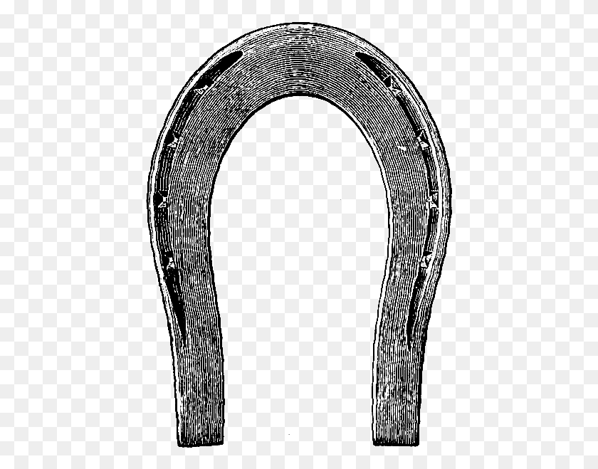 431x599 X 790 3 Vintage Horse Shoe, Text, Elephant, Wildlife HD PNG Download