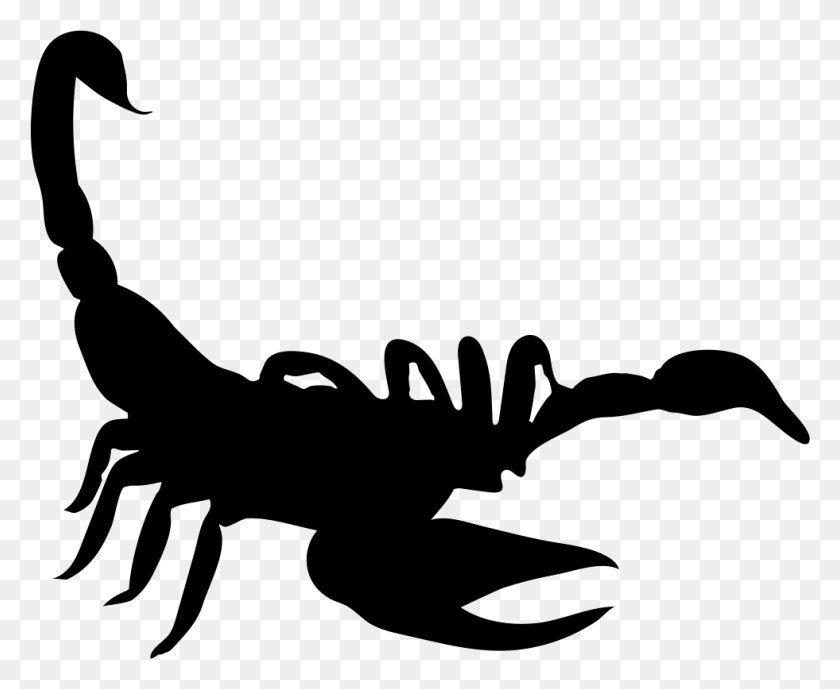 981x792 X 792 11 Scorpion Silhouette, Stencil, Animal HD PNG Download