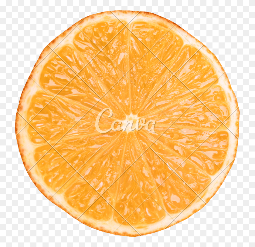 747x755 X 800 4 Vintage Orange Slice, Citrus Fruit, Fruit, Plant HD PNG Download
