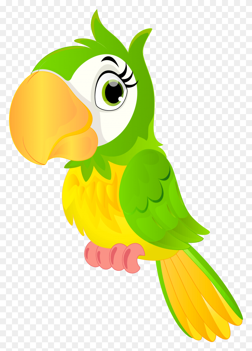 5545x7885 X 8000 4 Зеленый Попугай Мультяшный Попугай, Птица, Животное, Клюв Hd Png Скачать