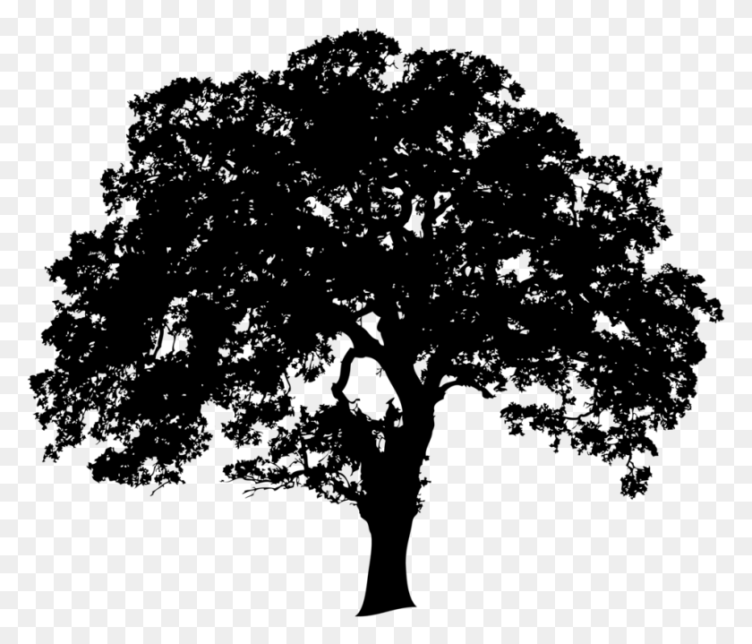948x801 X 801 2 Big Tree Clipart Black And White, Gray, World Of Warcraft HD PNG Download