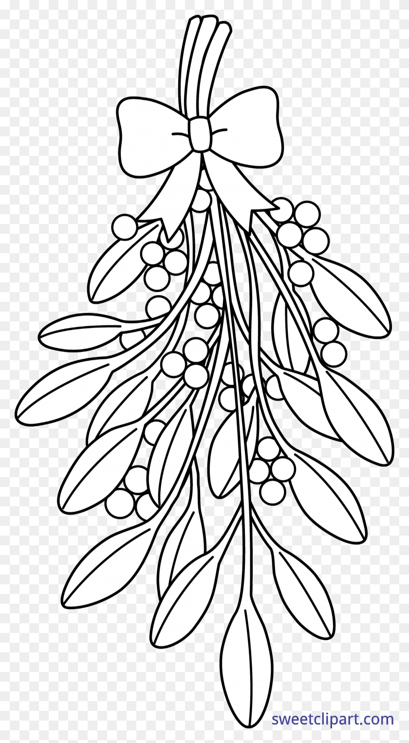 4303x8090 X 8090 3 Christmas Mistletoe Coloring Pages, Plant, Floral Design, Pattern HD PNG Download