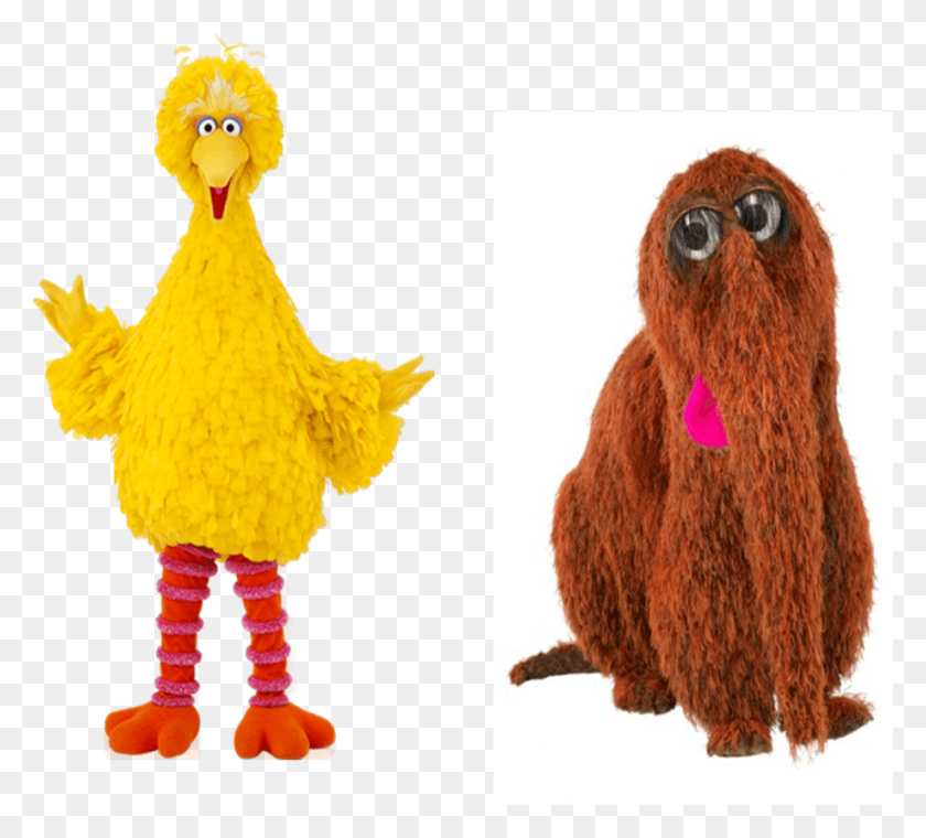 919x825 X 825 5 Big Bird Is Back, Pollo, Aves De Corral, Aves Hd Png