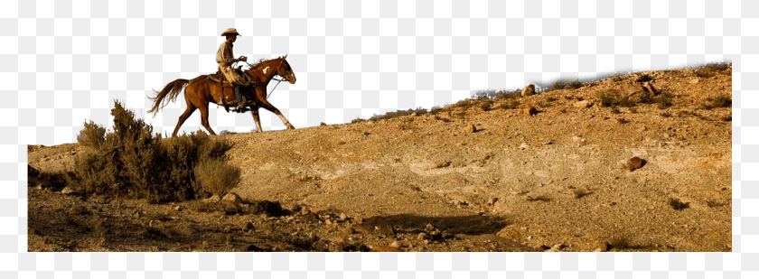 1401x448 X 850 3 Cowboy On Horse, Person, Human, Animal HD PNG Download
