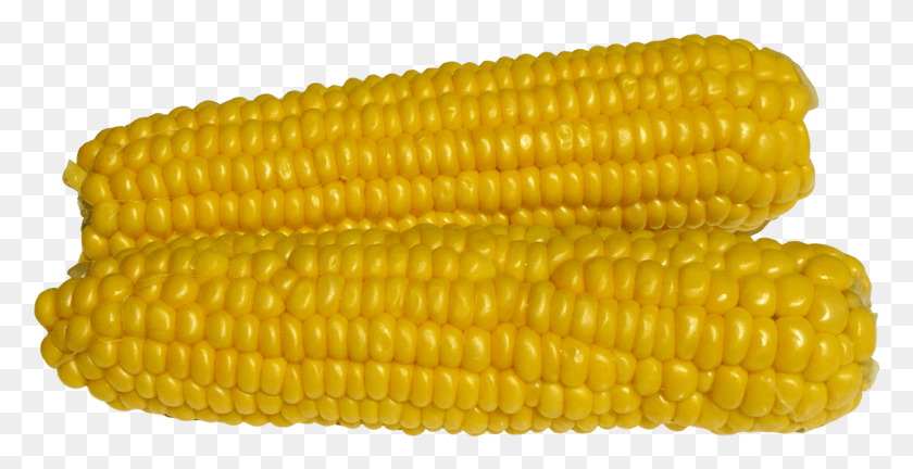 1460x698 X 854 Maize, Plant, Corn, Vegetable HD PNG Download