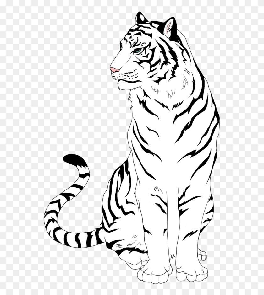 568x880 X 900 7 Белый Тигр Рисование Легко, Дикая Природа, Млекопитающее, Животное Hd Png Скачать