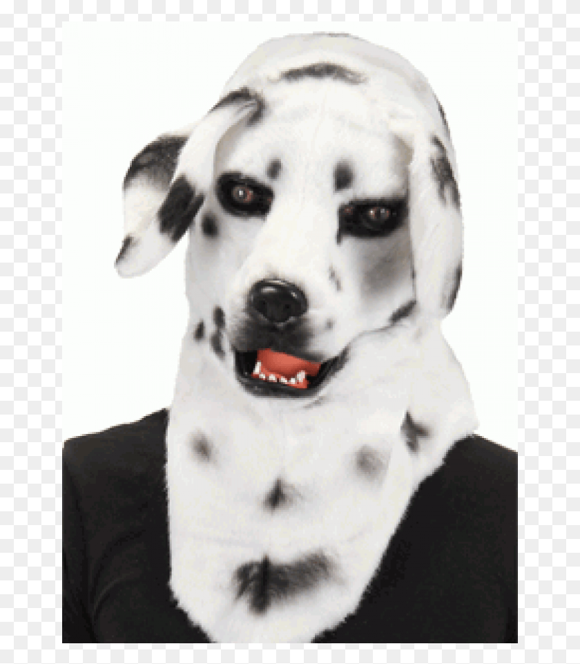 661x901 X 900 9 Dalmation Mask, Dog, Pet, Canine HD PNG Download