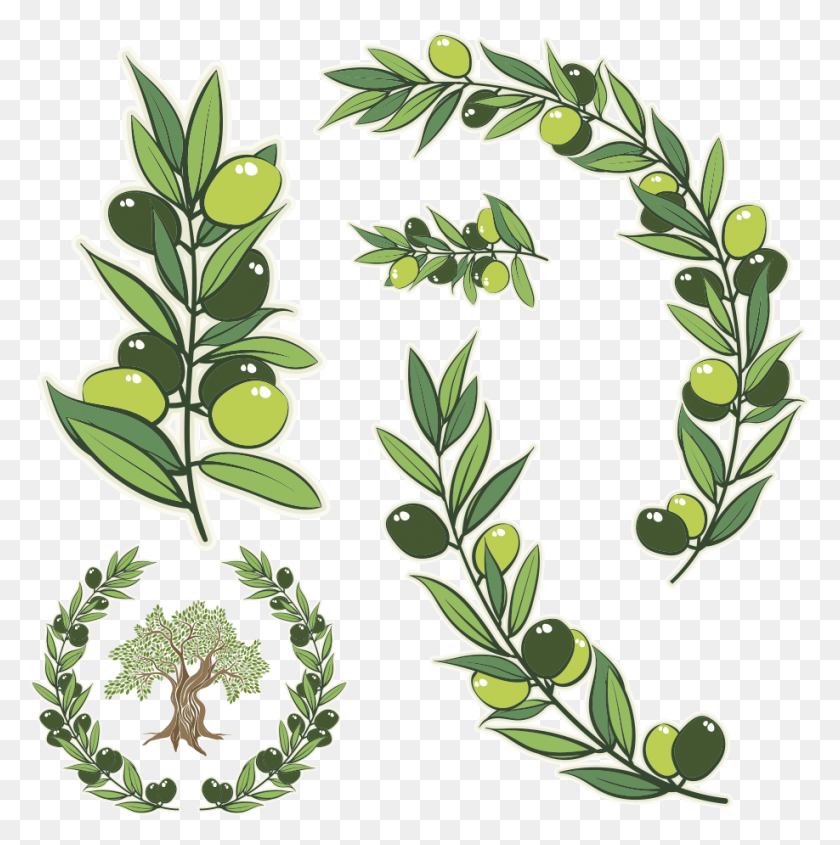 918x925 X 925 11 Olive Branch Tattoo, Potted Plant, Plant, Vase HD PNG Download