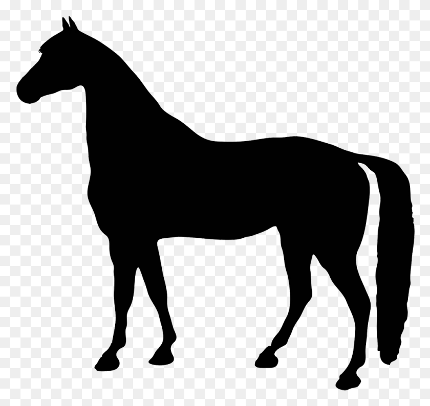 960x904 X 936 5 Силуэт Лошади Без Фона, Лошадь, Млекопитающее, Животное Hd Png Скачать
