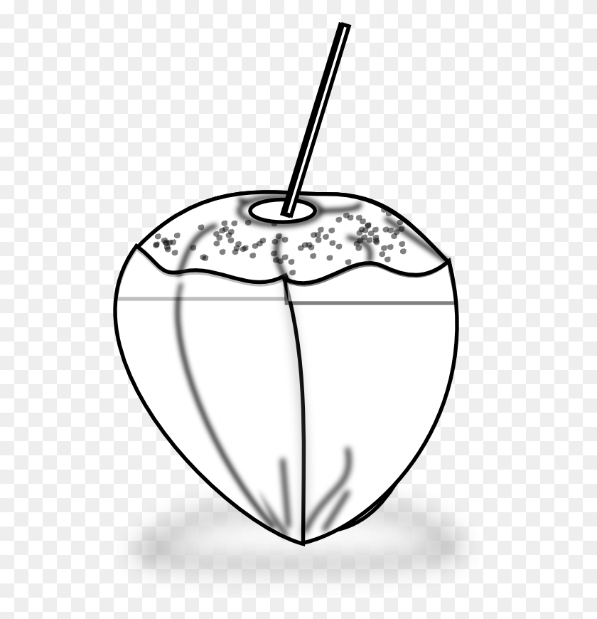 525x810 X 999 4 Coconut Black And White, Lamp, Jar, Tabletop HD PNG Download