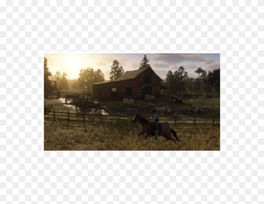 600x589 Xbox One X Gold Rush Battlefield V Red Dead Bonus Bundle Red Dead Redemption 2 Pc, Horse, Mammal, Animal HD PNG Download