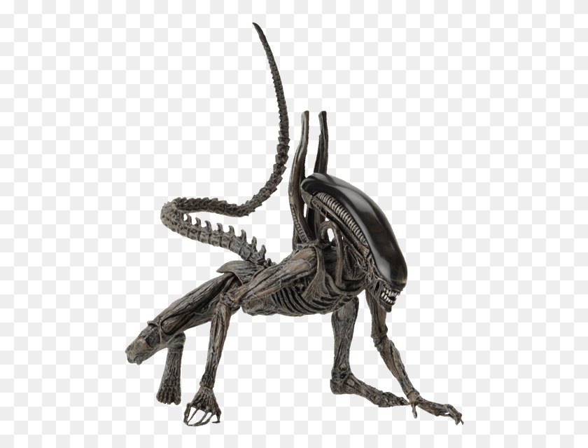 486x579 Xenomorph Alien Xenomorph, Skeleton, Animal, Snake HD PNG Download