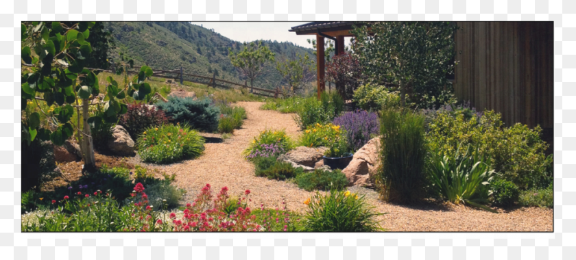 962x395 Xeriscaping Gardening Yard, Outdoors, Porch, Patio HD PNG Download