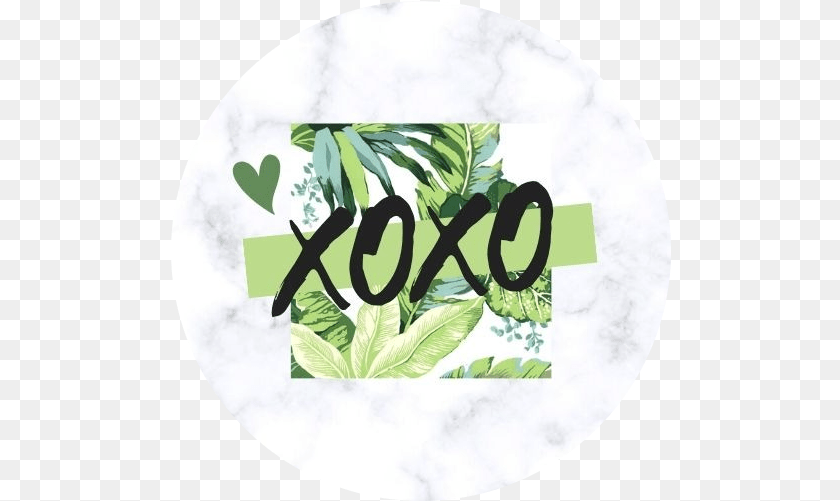501x501 Xoxoteams Linktree Language, Green, Herbal, Herbs, Leaf PNG