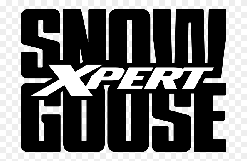700x486 Descargar Png / Xpert Snow Goose Poster, Logotipo, Símbolo, Marca Registrada Hd Png