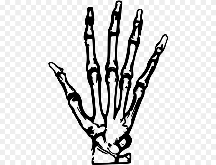 Xray, Gray Transparent PNG