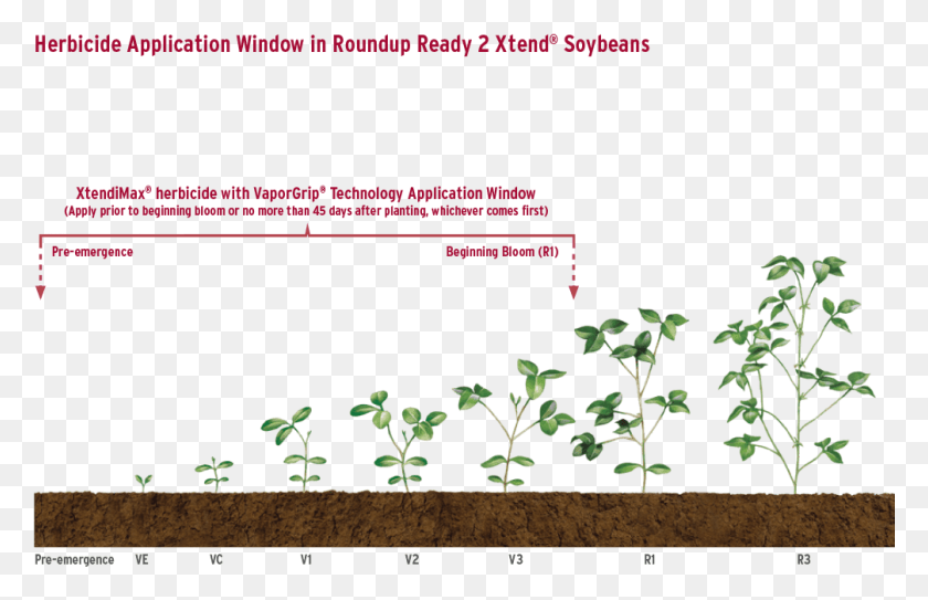1006x624 Xtendimax With Vaporgrip Technology Application Window Plant Stem, Vegetation, Outdoors, Soil HD PNG Download