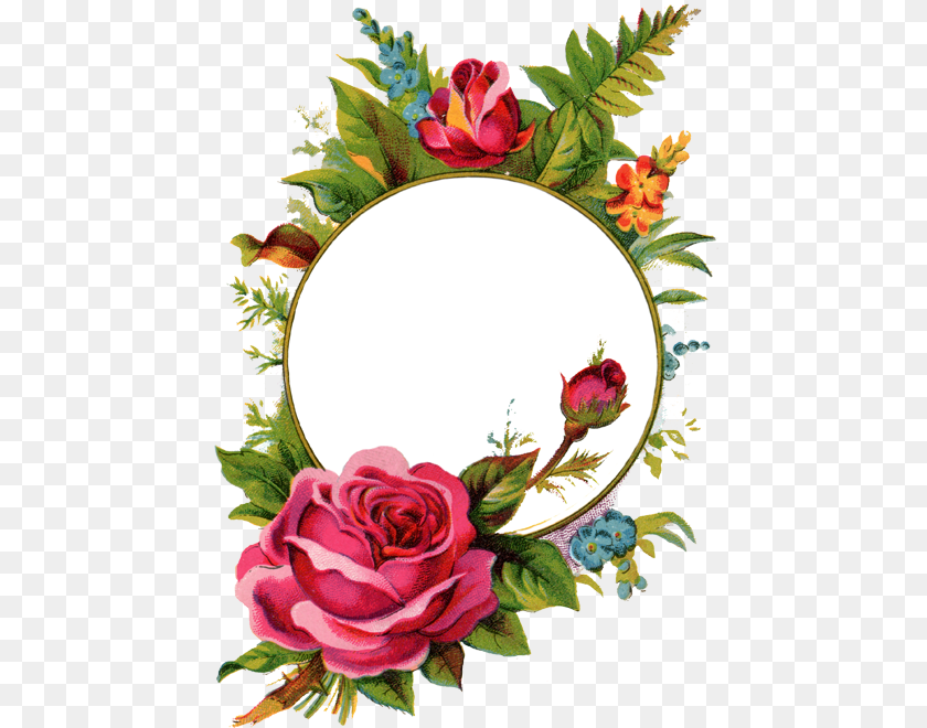 461x660 Xx 25, Flower, Plant, Rose, Art PNG