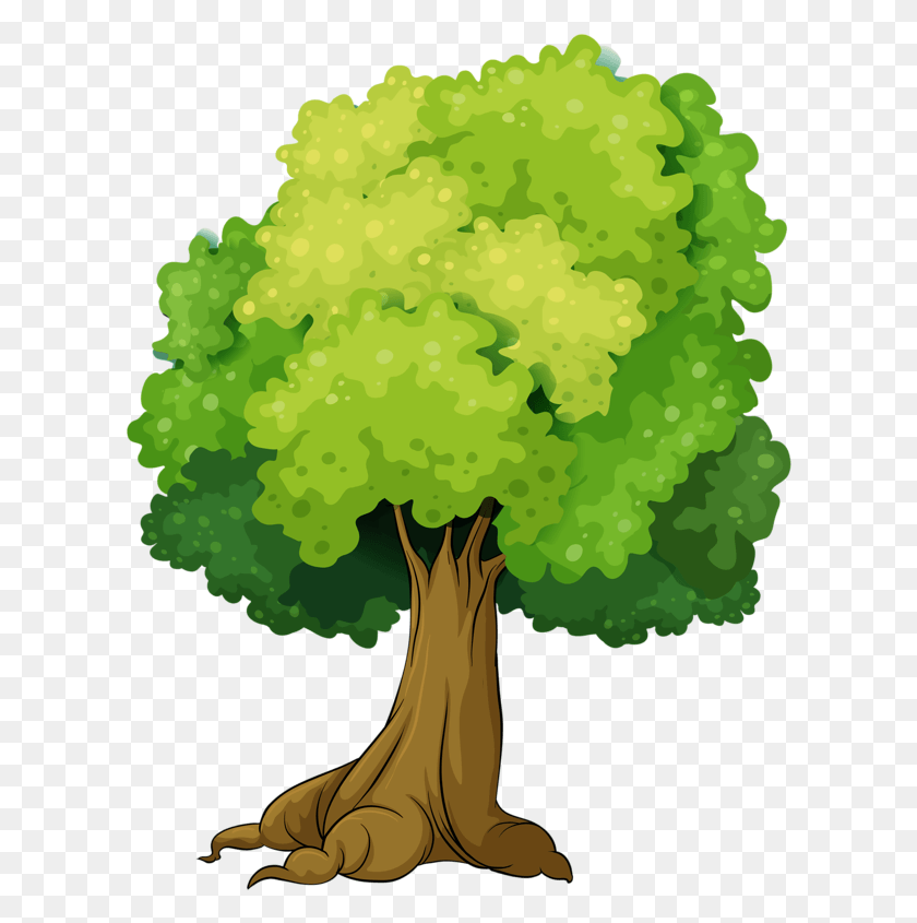 610x785 Яндекс Фотки Одиночные Деревья, Растение, Дерево, Овощ Hd Png Скачать
