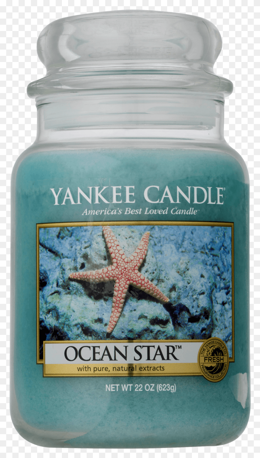 991x1801 Yankee Candle Ocean, Bottle, Sea Life, Animal HD PNG Download