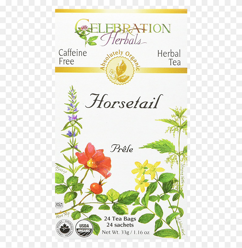 460x801 Yarrow Tea, Plant, Text, Flower HD PNG Download