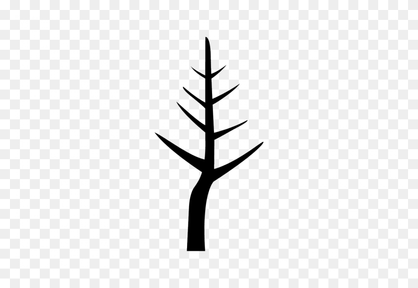 1400x933 Year Old Trees Silhouette, Plant, Cross HD PNG Download