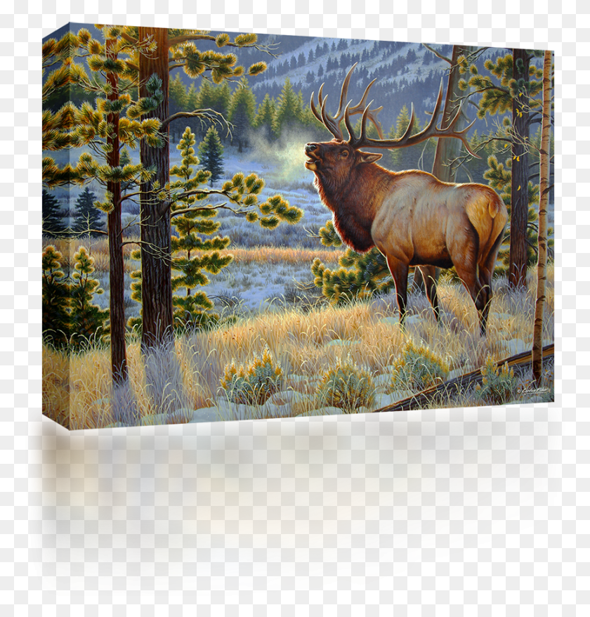 862x905 Yelling Elk Painting, Deer, Wildlife, Mammal Descargar Hd Png