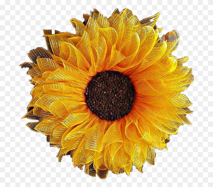 693x678 Yellow Brown Flower Wreath Sunflower Freetoedit Sunflower, Plant, Blossom, Daisy HD PNG Download