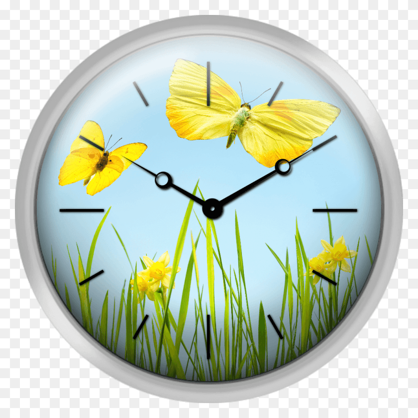 992x992 Yellow Butterflies With Grass And Daffodils Drawing, Analog Clock, Clock, Wall Clock HD PNG Download