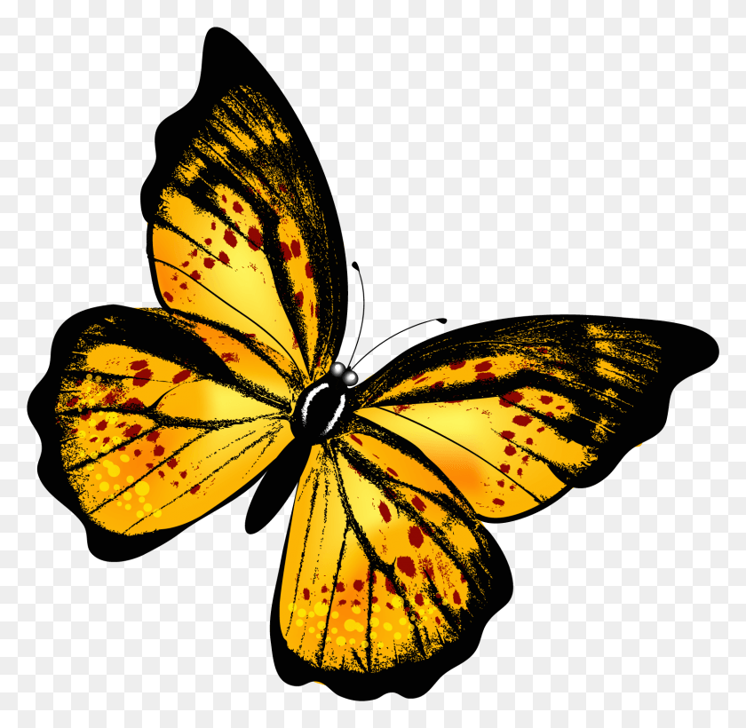 1625x1584 Желтая Бабочка, Монарх, Насекомое, Беспозвоночные Hd Png Скачать