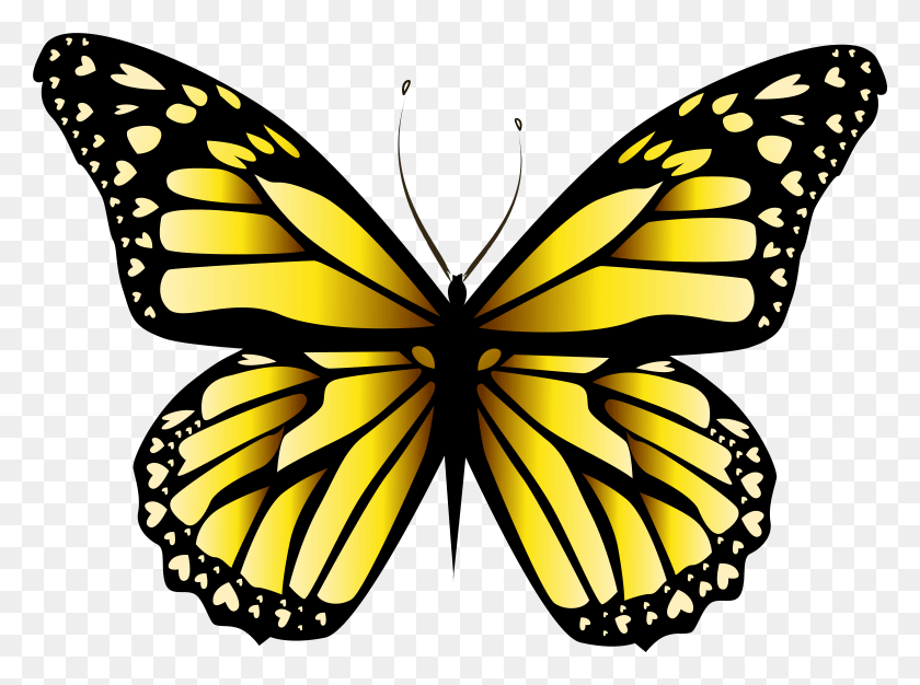 6181x4488 Желтая Бабочка Clipar Image Желтая Бабочка Оранжевая Бабочка, Монарх, Насекомое, Беспозвоночные Png Скачать