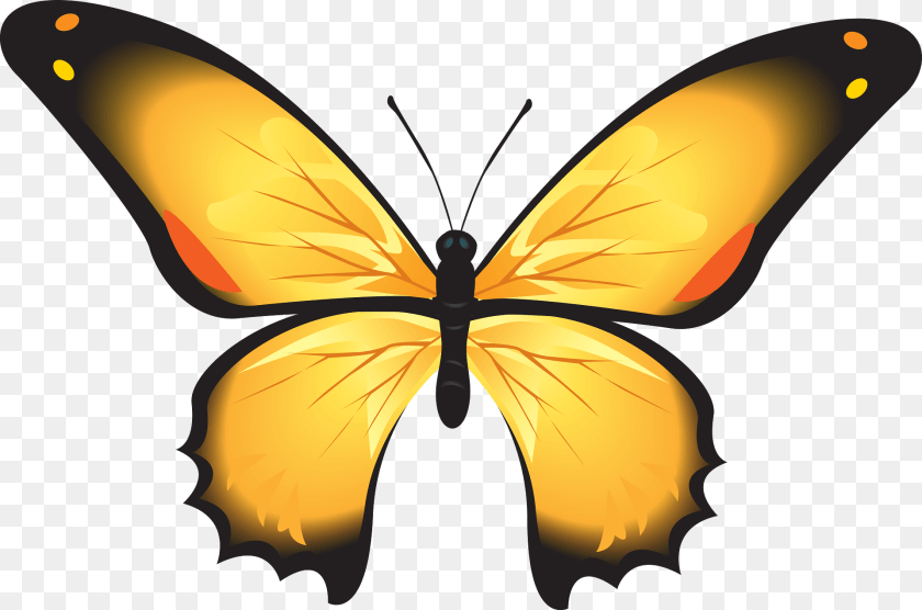 Yellow Butterfly Clipart, Animal, Insect, Invertebrate, Appliance Sticker PNG