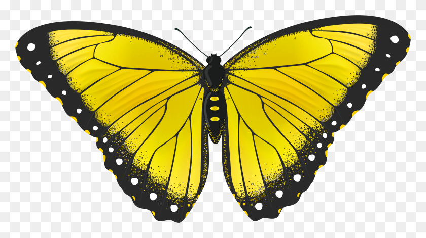 7833x4134 Yellow Butterfly Transparent Clip Art Image HD PNG Download