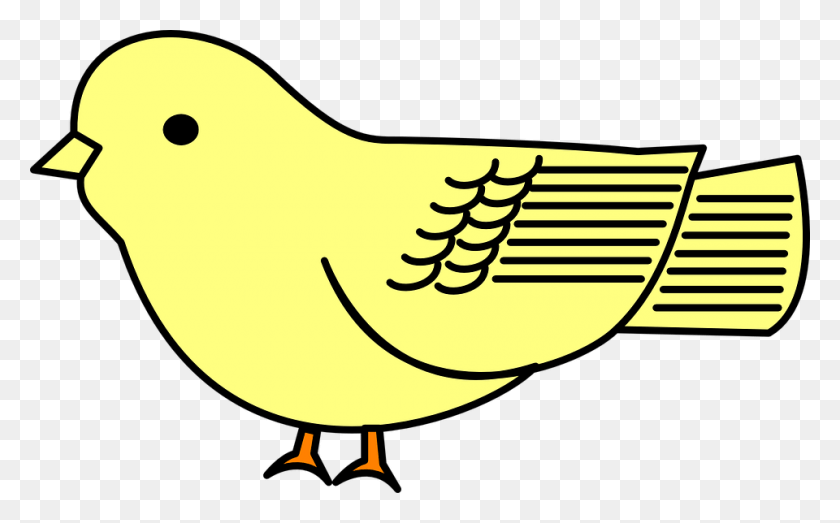 960x570 Yellow Cartoon Bird, Animal, Text, Canary HD PNG Download